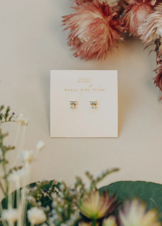 JaxKelly CZ Double Stud Stack Earrings